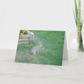 Carte de Pâques "Lapin #2" (Devant)