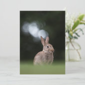 Carte de Pâques Lapin de Nature (Debout devant)
