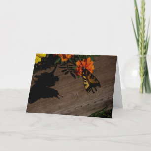 Carte de Pâques "Morning Shadow"