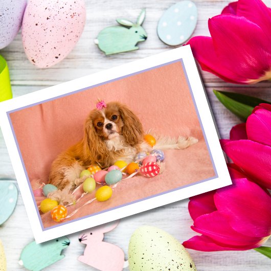 Carte de Pâques pour chiot Cavalier King Charles S