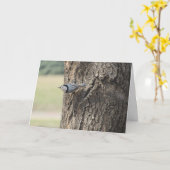 Carte de Pâques "Sittelle à poitrine blanche" (Fleur jaune)