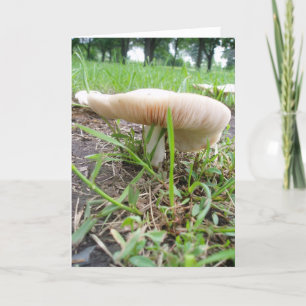 Carte de Pâques "Village Mushroom #1"