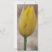 Carte de pardon et de grâce de Dieu (Dos)