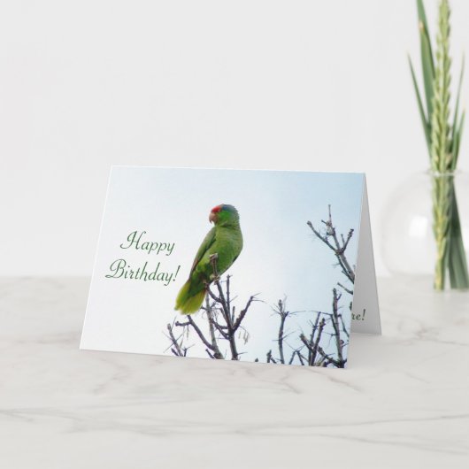 Carte de Parrot Birthday (Devant)