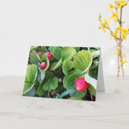 Carte de patchs fraises (Fleur jaune)
