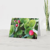 Carte de patchs fraises (Devant)