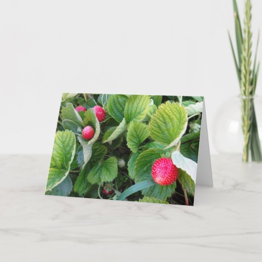 Carte de patchs fraises (Devant)