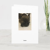 Carte de patte de chien (Dos)