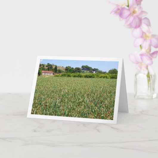 Carte de paysage Onion Field (Orchidée)
