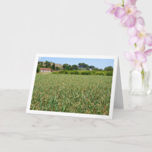 Carte de paysage Onion Field