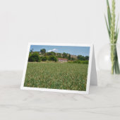 Carte de paysage Onion Field (Devant)