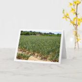 Carte de paysage Onion Field (Fleur jaune)