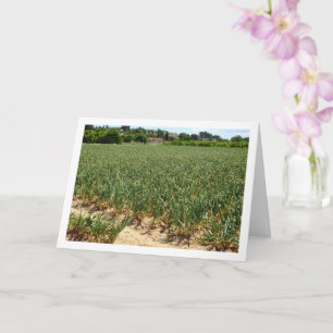 Carte de paysage Onion Field