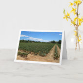 Carte de paysage Onion Field (Fleur jaune)