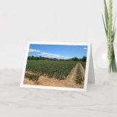 Carte de paysage Onion Field (Devant)