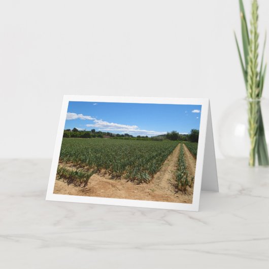 Carte de paysage Onion Field (Devant)