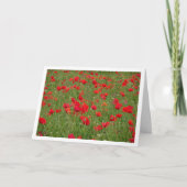 Carte de paysage Red Poppy Field (Devant)