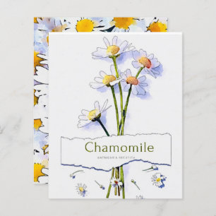 Carte de peinture à l'aquarelle vintage Chamomile