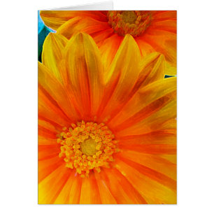 Carte de peinture numérique de gerbera orange