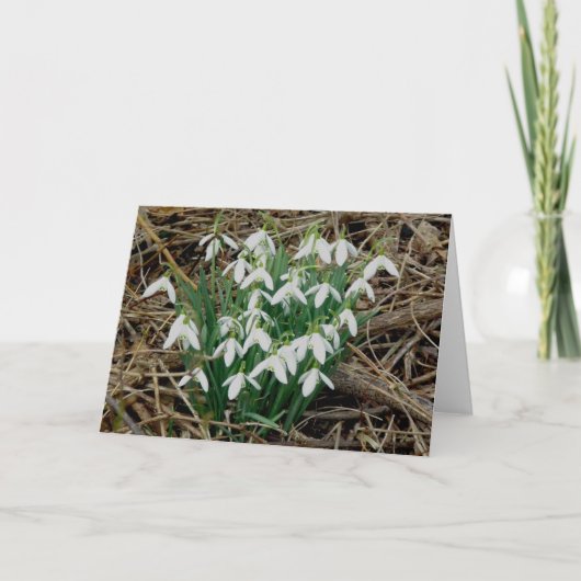 Carte de perce-neiges (Devant)