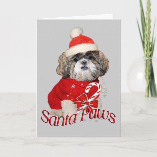 Carte de Père Noël Shih Tzu (Devant)