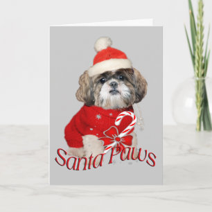 Carte de Père Noël Shih Tzu