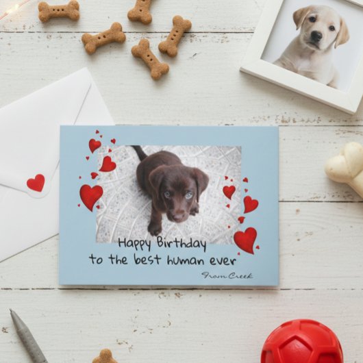 Carte de Personnaliser d'anniversaire pour animaux