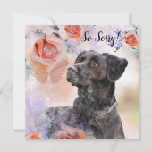 Carte de perte d'un chien de compagnie (Devant)