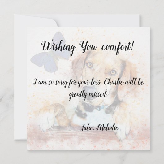 Carte de perte d'un chien de compagnie (Dos)