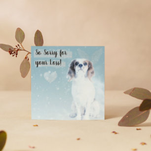 Carte de perte d'un chien de compagnie