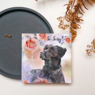 Carte de perte d'un chien de compagnie