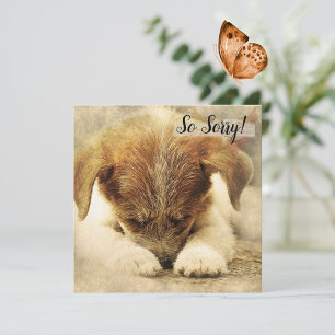 Carte de perte d'un chien de compagnie