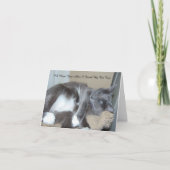 Carte de petit somme de chat (Devant)