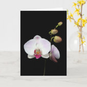 Carte de "Phalaenopsis" (Fleur jaune)