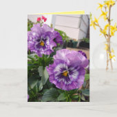Carte de photographie de pensée violette fleurs fl (Fleur jaune)