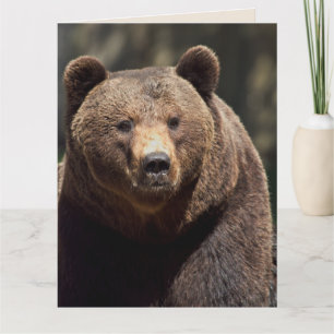 CARTE DE PHOTOGRAPHIE D'OURS À TOUT MOMENT ADAPTÉE