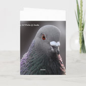 Carte de pigeon de Glasgow (Dos)