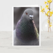 Carte de pigeon de Glasgow (Fleur jaune)