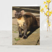 carte de pin marten (Fleur jaune)