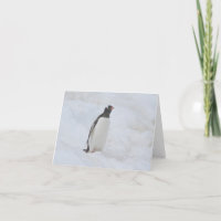 Carte de pingouin Gentoo (Neko)