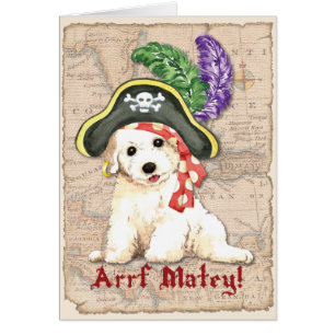 Carte de pirate de Bichon Frise