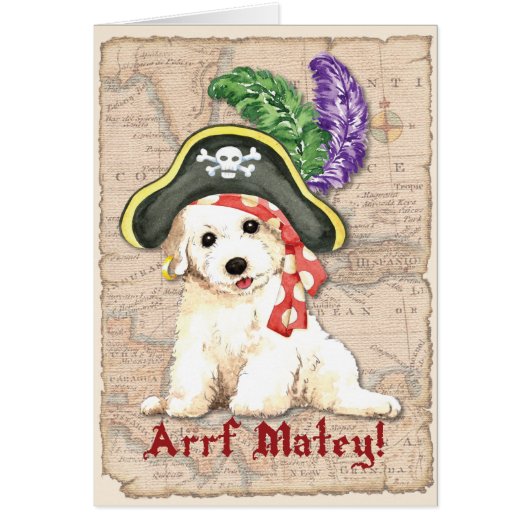 Carte de pirate de Bichon Frise (Devant)