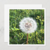 Carte de pissenlit personnalisée (Devant / Derrière)