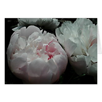 Carte de pivoine