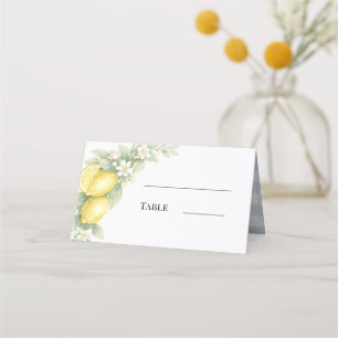 CARTE DE PLACEMENT