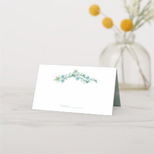 Carte De Placement Aquarelle Succulent Jardin élégant Mariage d'été