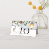 Carte De Placement Baby shower d'hiver. Il fait froid dehors (Devant)