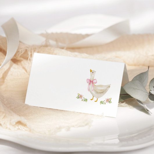 Carte De Placement Baby shower sot de poule rose oie