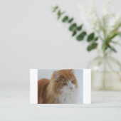 Carte De Placement Chat des forêts norvégiennes (Debout devant)