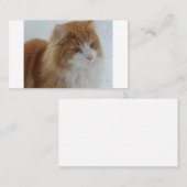 Carte De Placement Chat des forêts norvégiennes (Devant / Derrière)